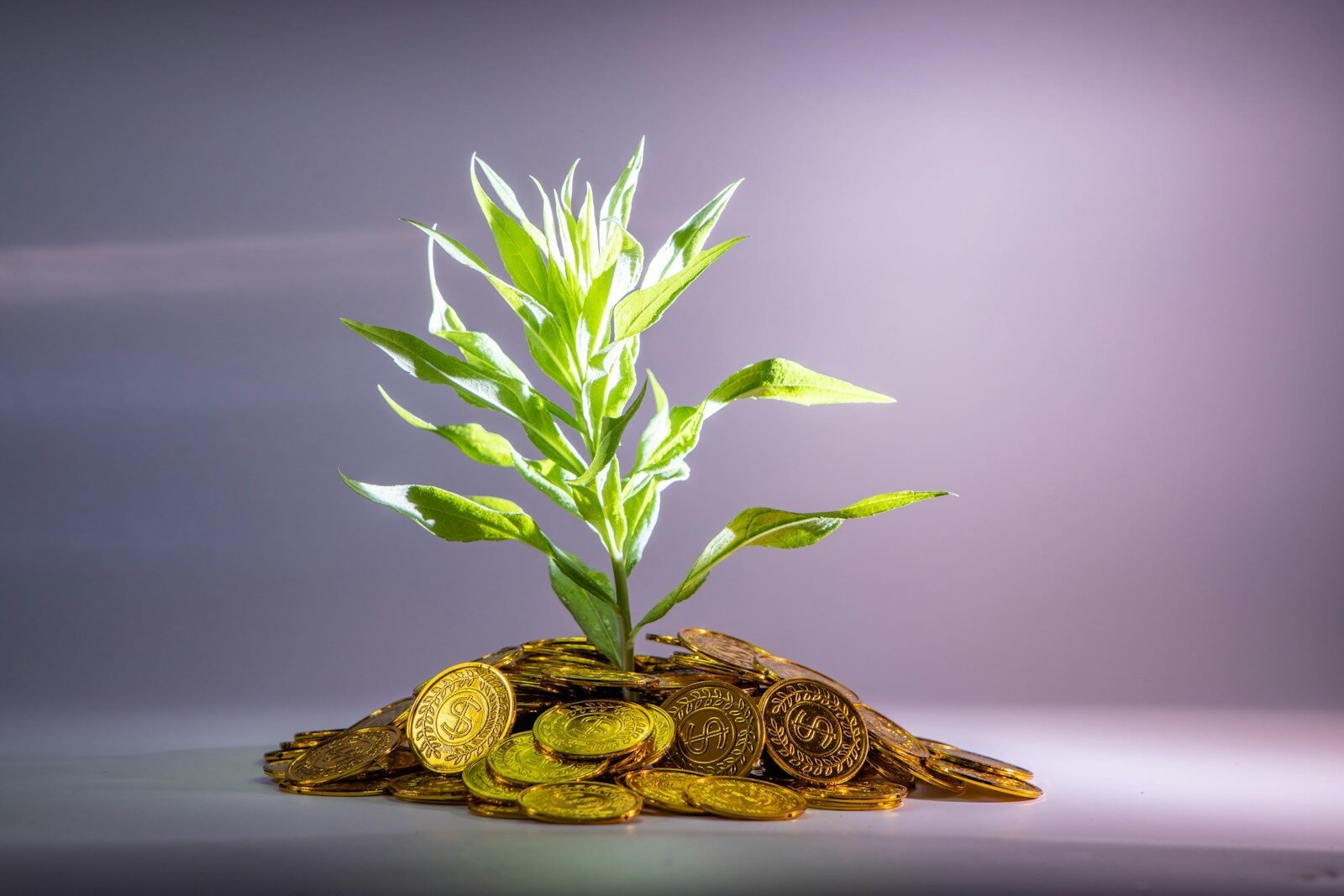 5 Golden Rules of Personal Finance - Richly Rise
